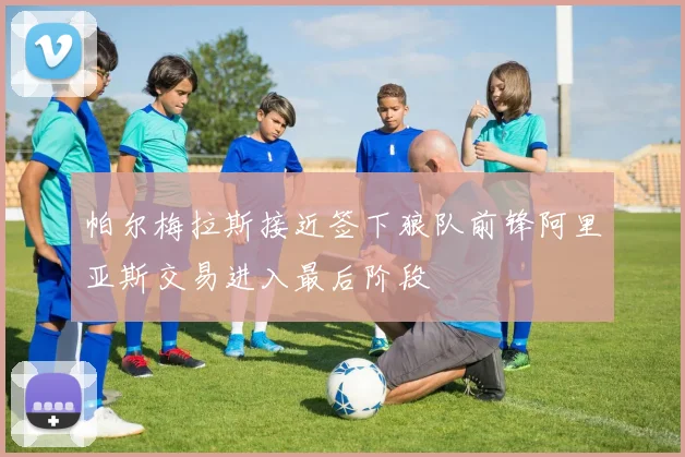 帕尔梅拉斯接近签下狼队前锋阿里亚斯交易进入最后阶段